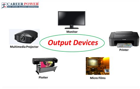 which 2 of the following are examples of output